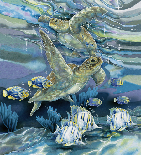 Sea Turtle Dance