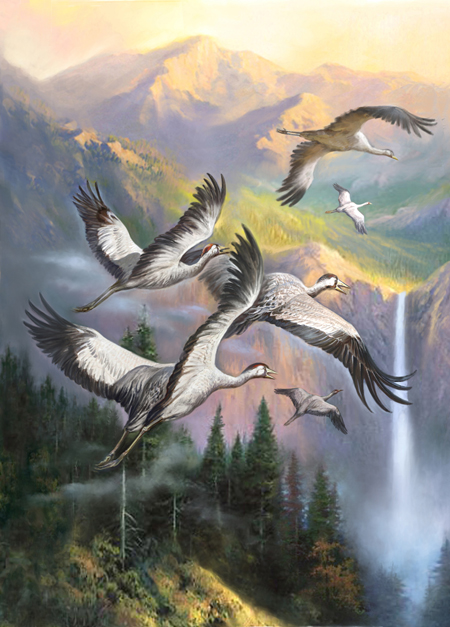 Flight Of Herons