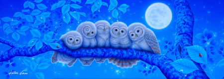 Owls in the Moonlight