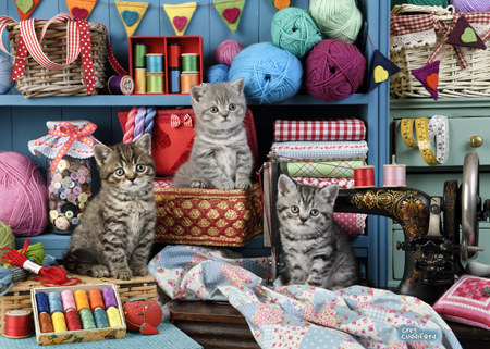 Kittens In The Sewing Room