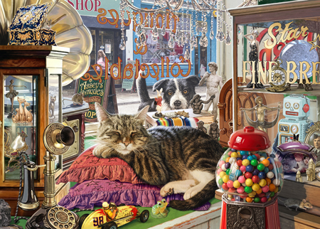 Curiosity Shop Cat