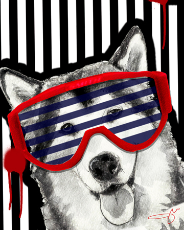 Husky Glasses