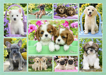 Puppy Multipic 5