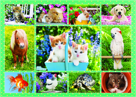 My First Pet Multipic 2