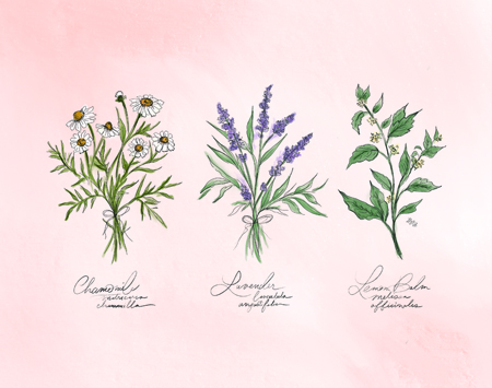 Calming Herbs