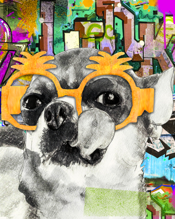 Chihuahua Yellow Glasses