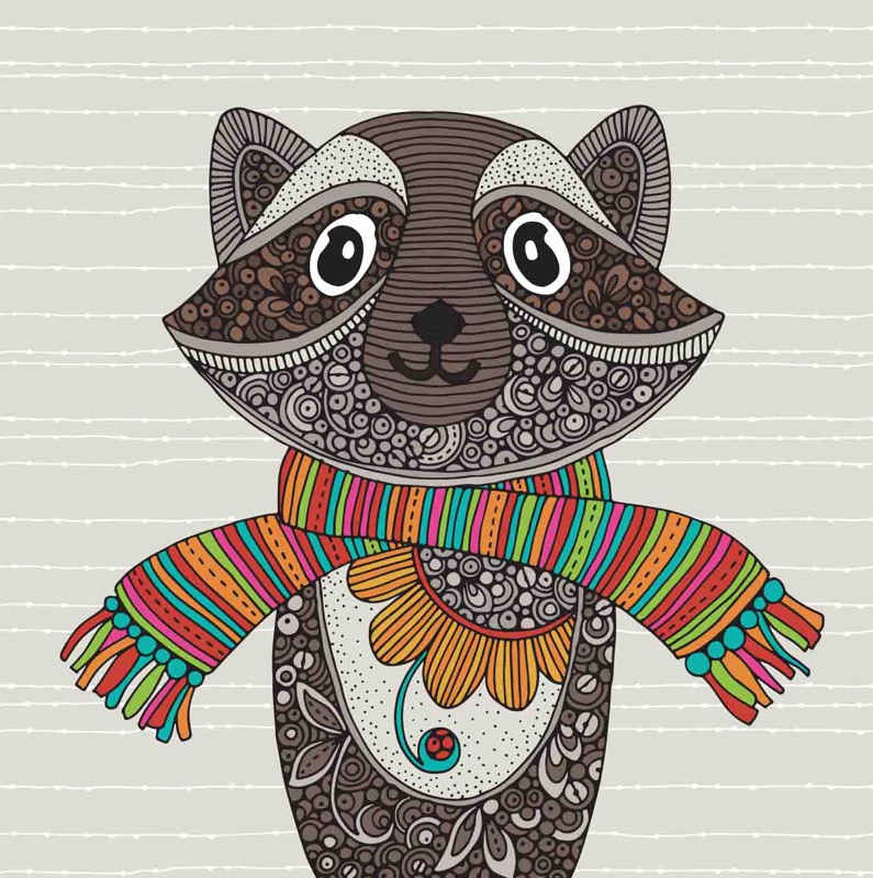 Racoon