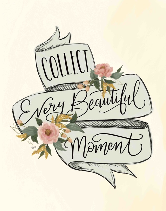 Collect Every Beautiful Moment