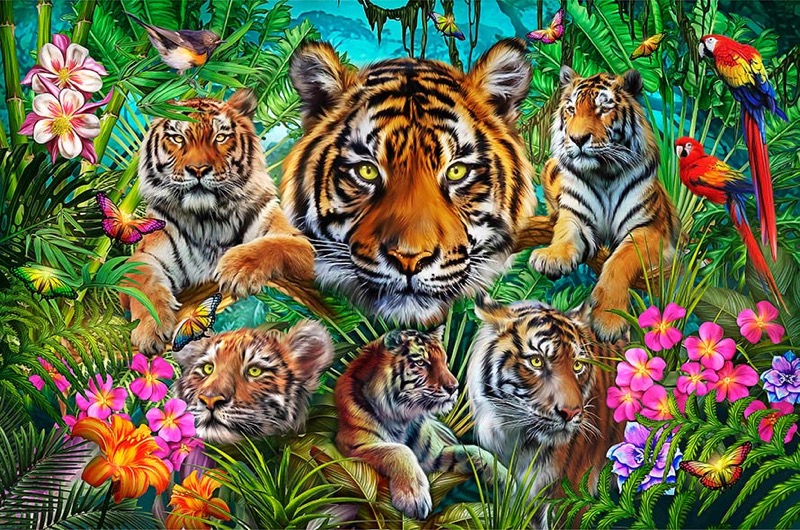 Tiger Jungle