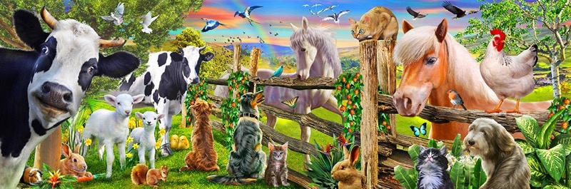 Farm Animals