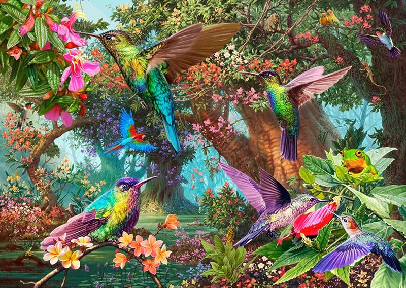 Hummingbird Jungle