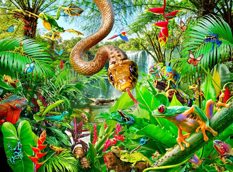 Jungle Reptiles