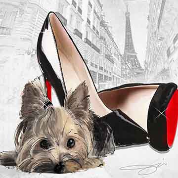 Yorkshire Terrier And Black Stilettoes