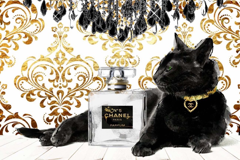 Black Cat With Chanel Perfume Bottle