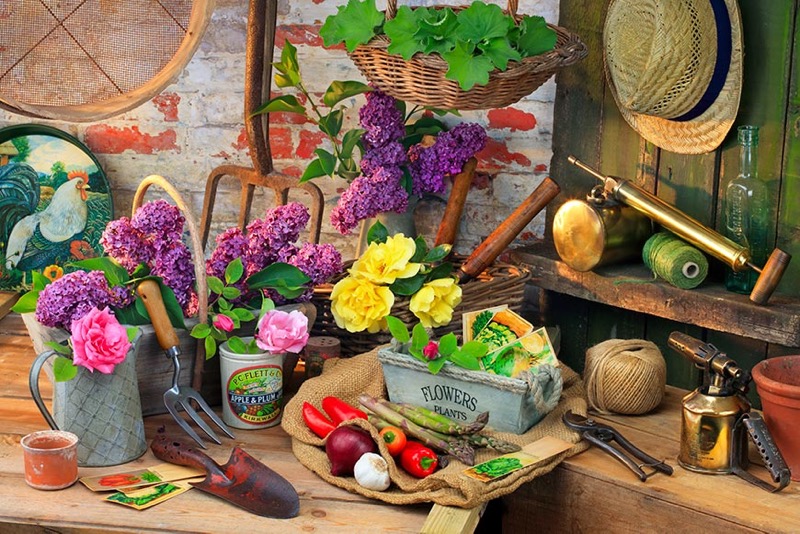 Garden Potting Shed