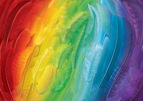 Rainbow Feathers