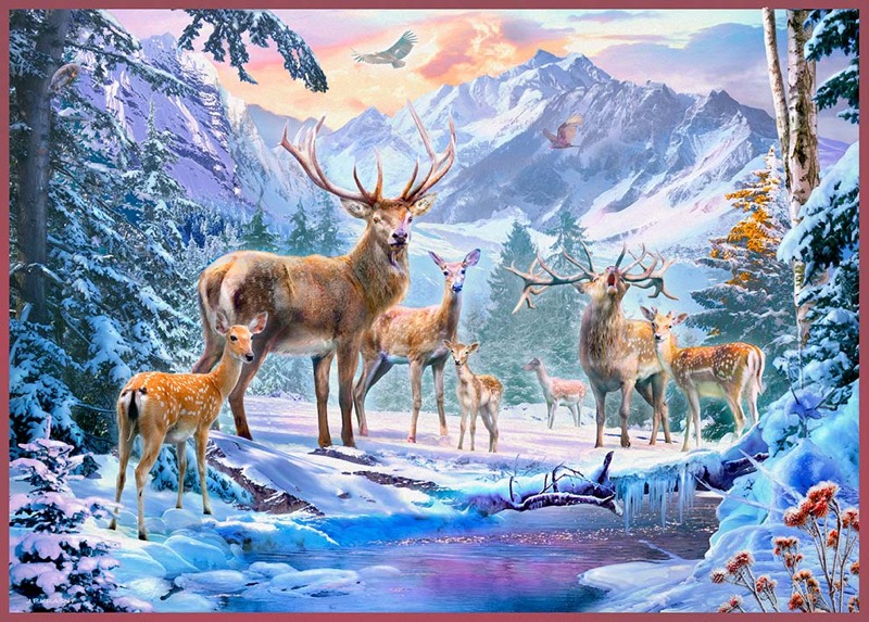 Deer And Stags In Winter Setting