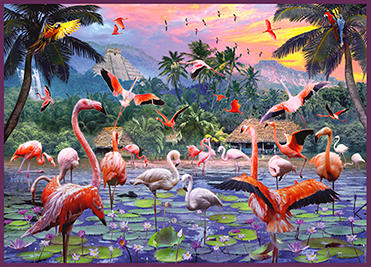 Flamingos