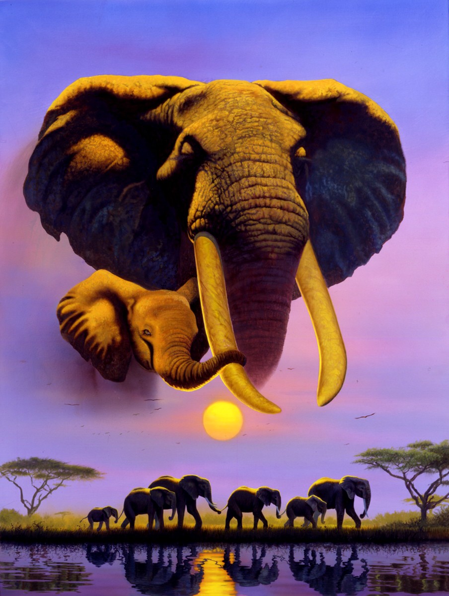 Elephant Dusk