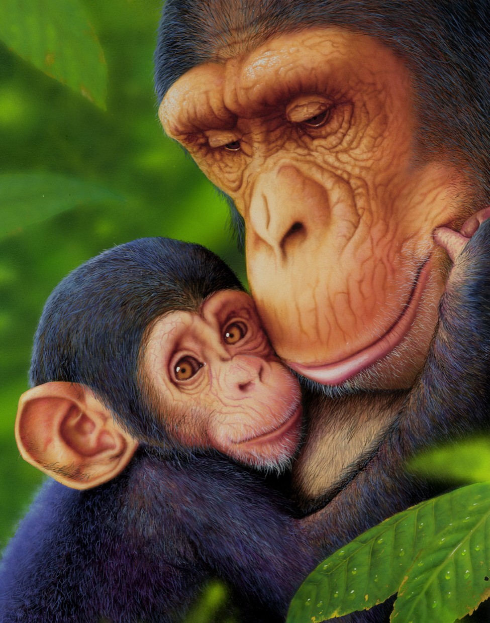 Chimp Mother & Baby