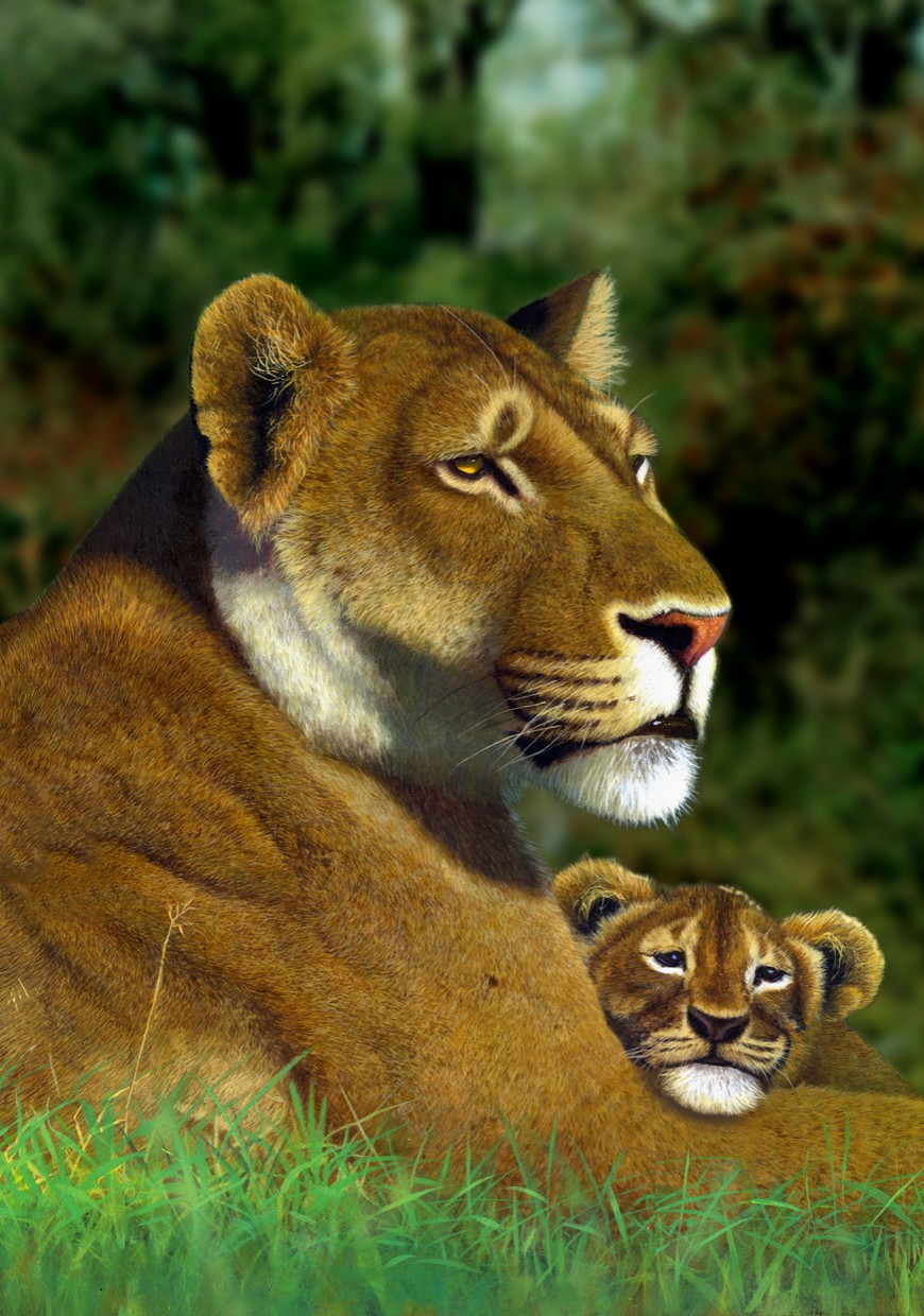 Lioness and Cub