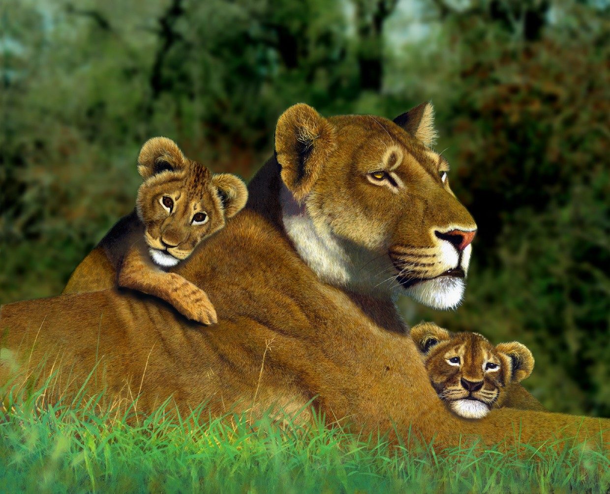 Lioness and Cub