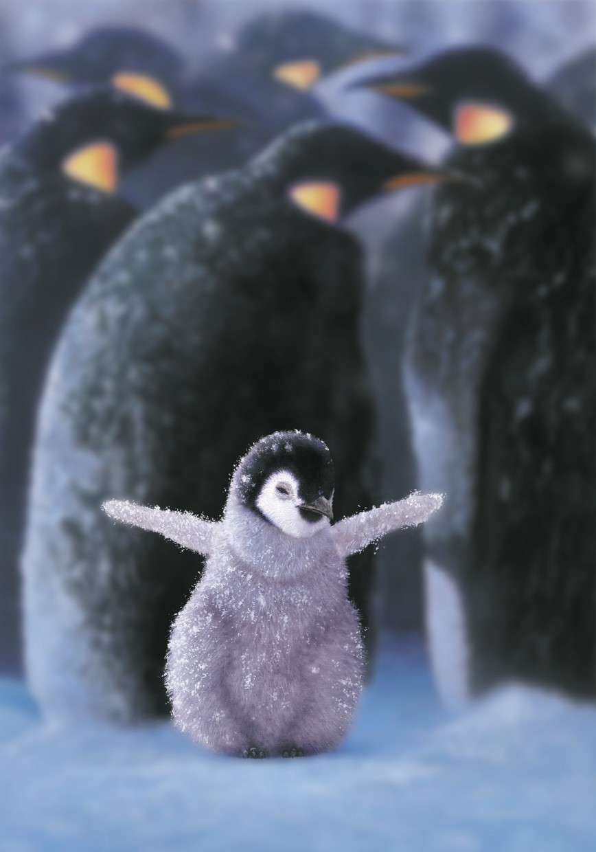 Penguin Chick