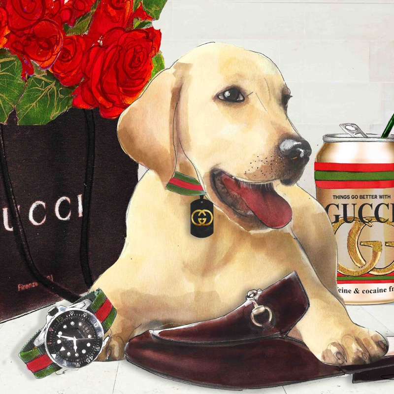 Gucci Lab