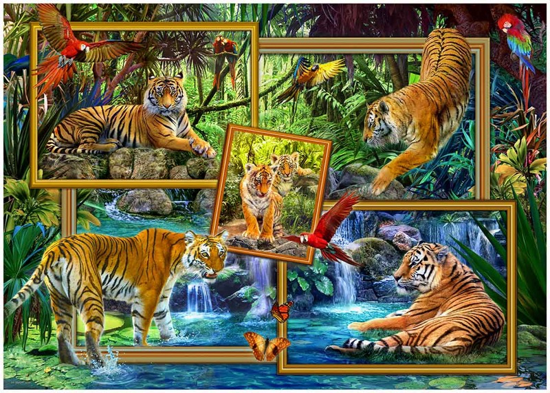 Tigers In Rainforest_In Frames