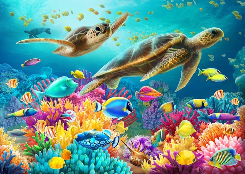 Underwater Turtles