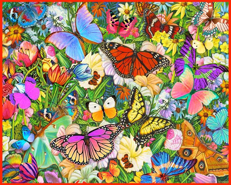 Butterfly Garden