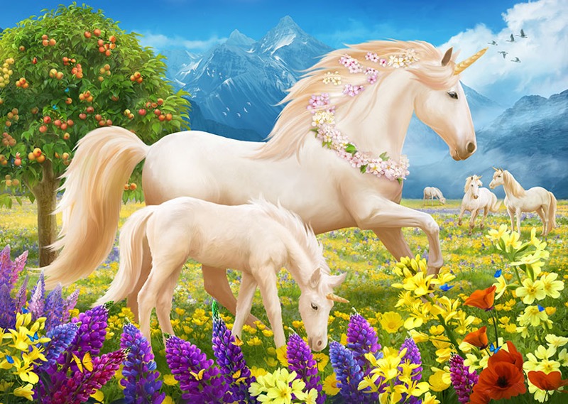 Unicorns_4