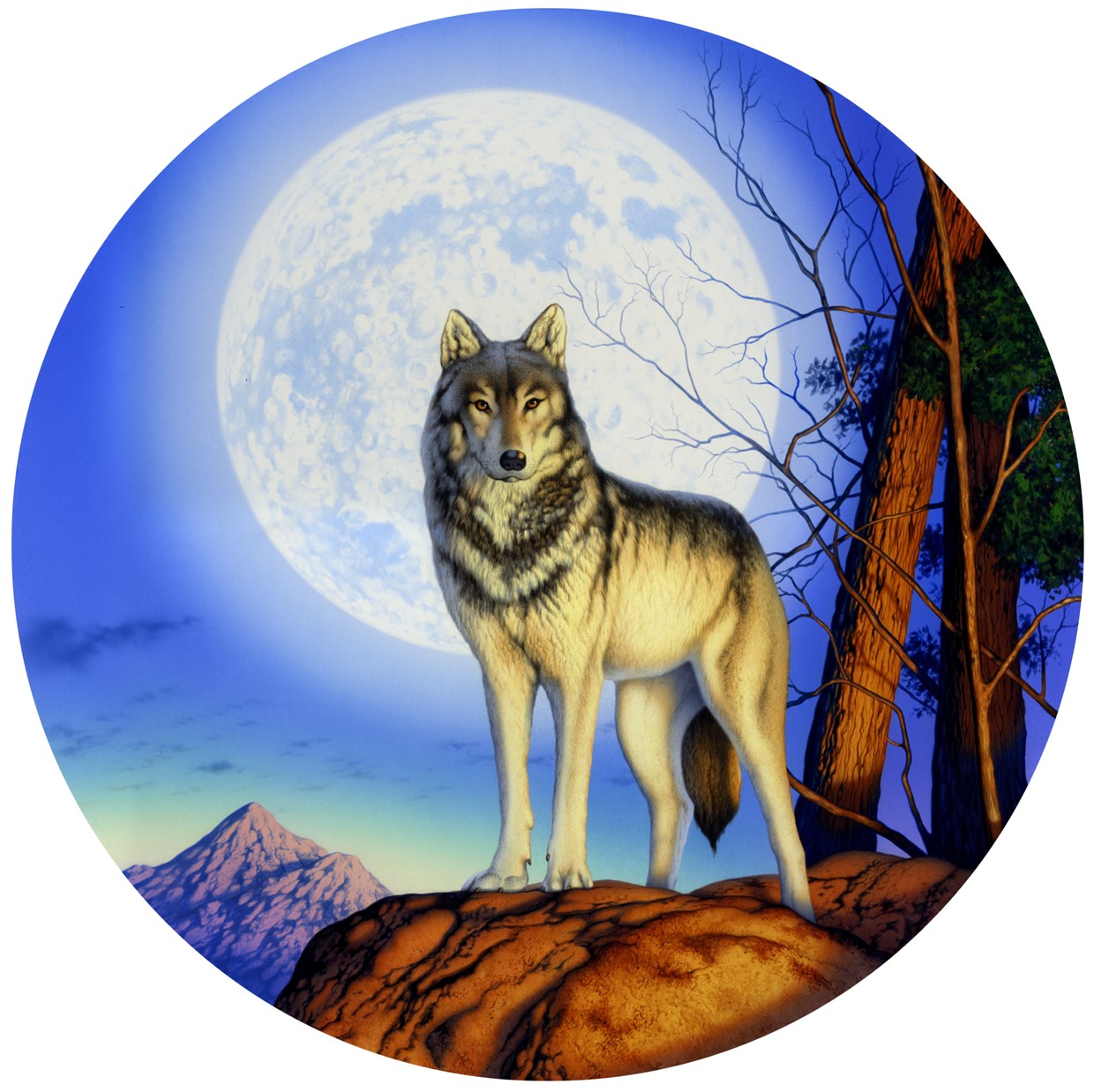 Timber Wolf Variant 1