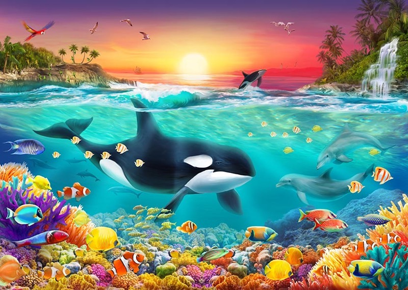 Tropical Orca