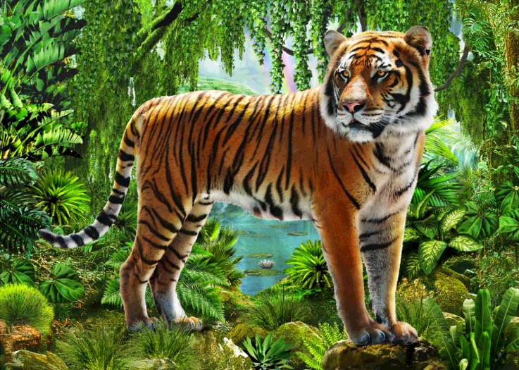 Tiger In Selva