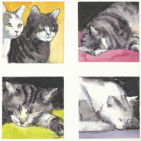 Cats Quadriptych