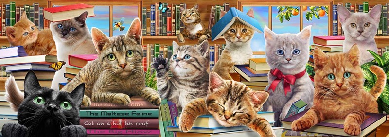 Cats In The Library_Panoramic