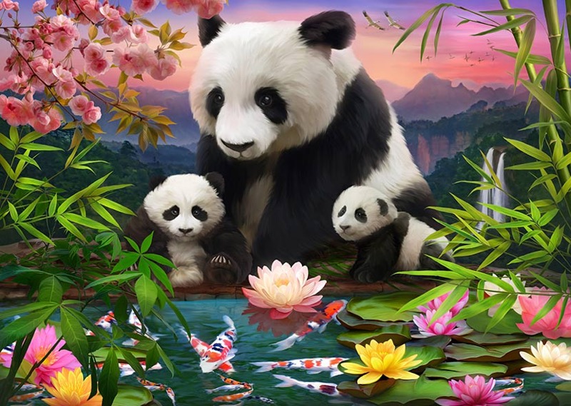 Panda Family