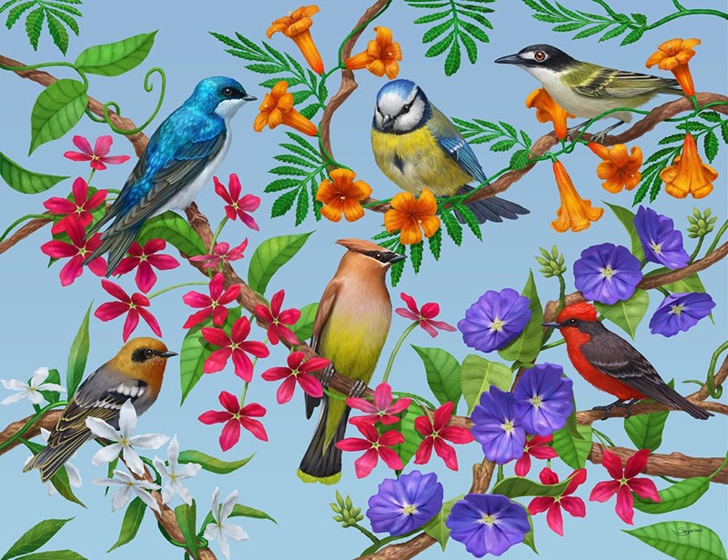 Birds, Branches and Flowers