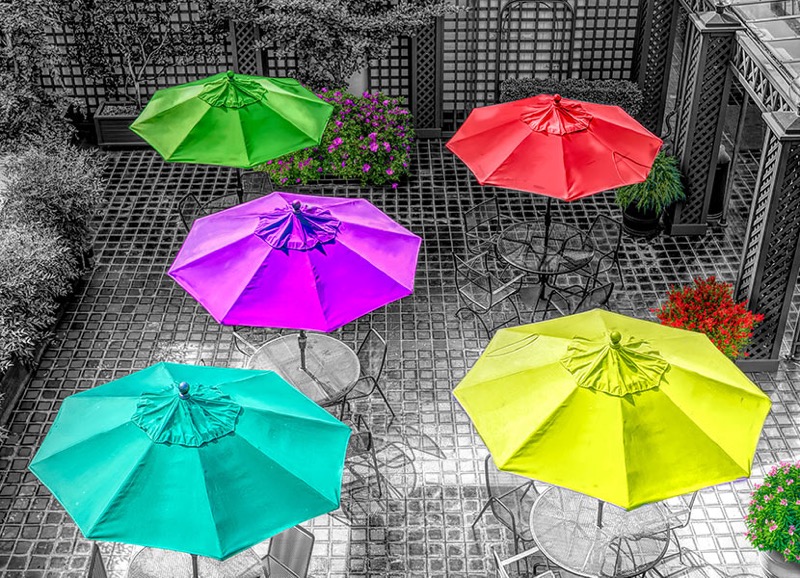 ColorSplash Umbrellas