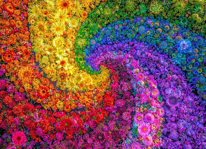 Rainbow Flower Swirl