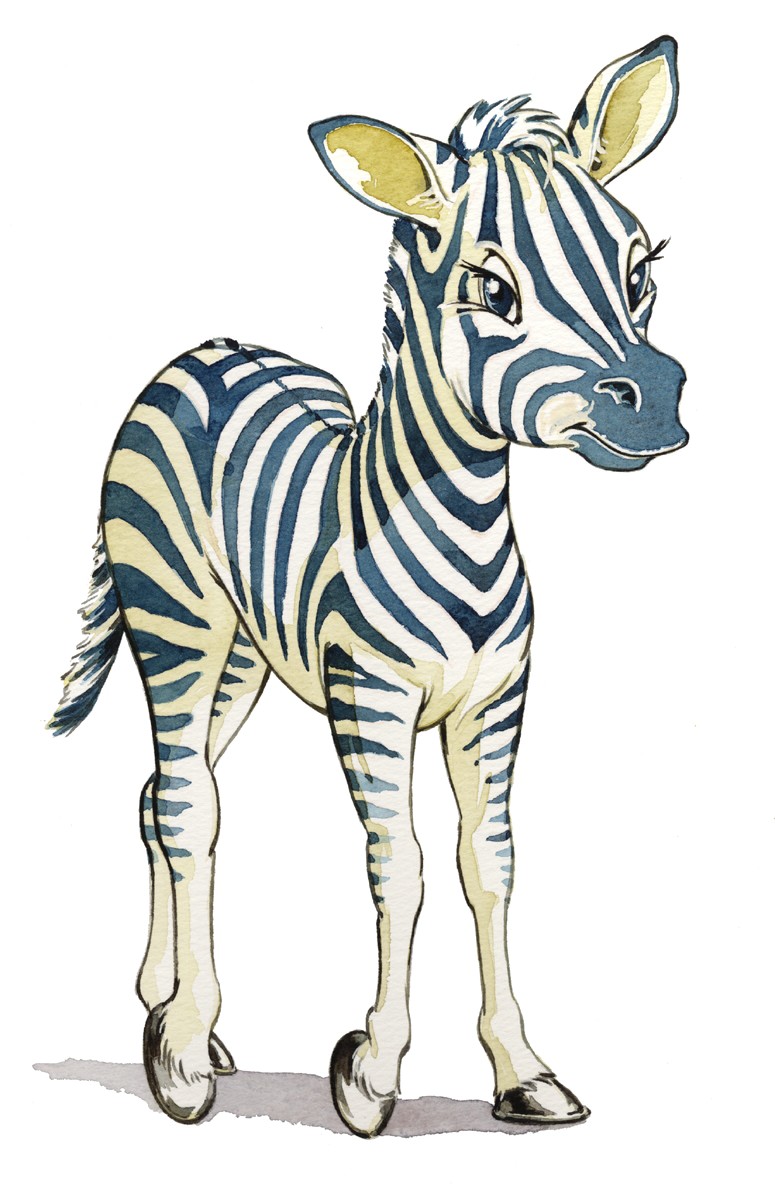 Zebra