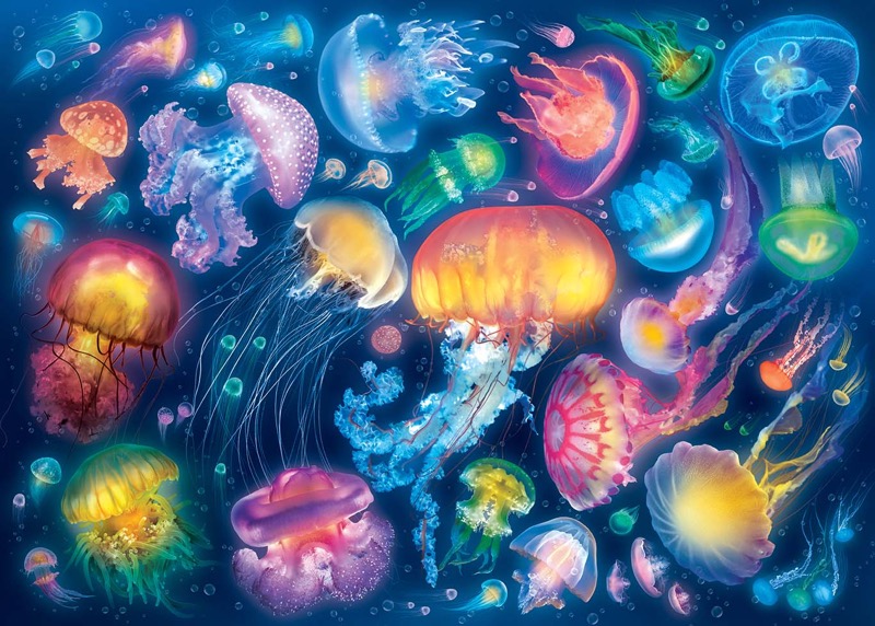 Jellyfish