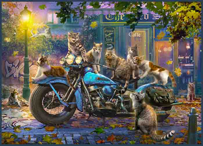 Cats And Motorcycle