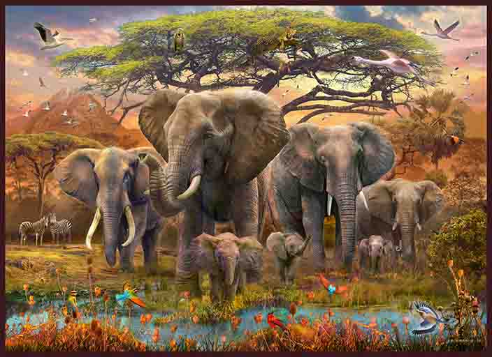 Elephants At Watering Hole