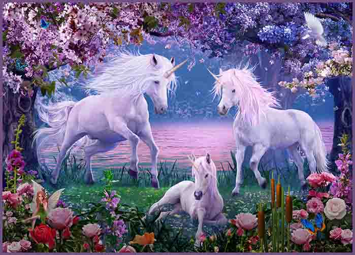 Unicorn Family