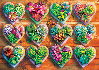 Heart Succulents