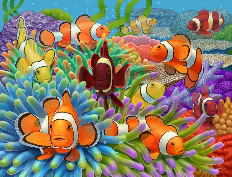 Clownfish