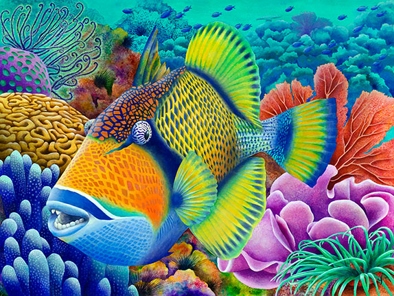 Titan Triggerfish