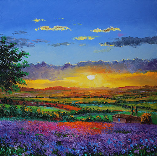 Sunset On Purple Wildflowers